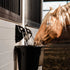 Cascada Automatic Equine Waterer